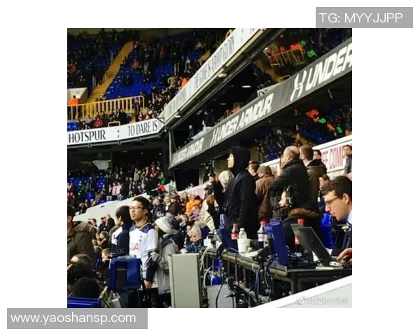 托特纳姆热刺与西汉姆联激战正酣比赛结果引发球迷热议